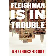 Fleishman Is In Trouble by Taffy Brodesser-Akner