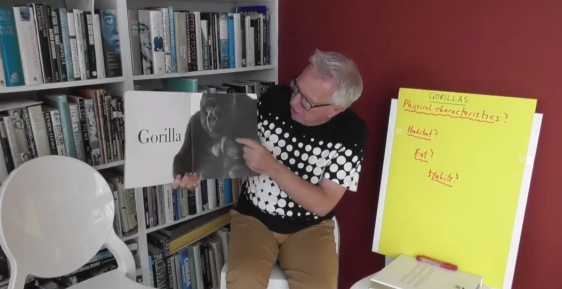 Murray Gadd Writes About Gorillas