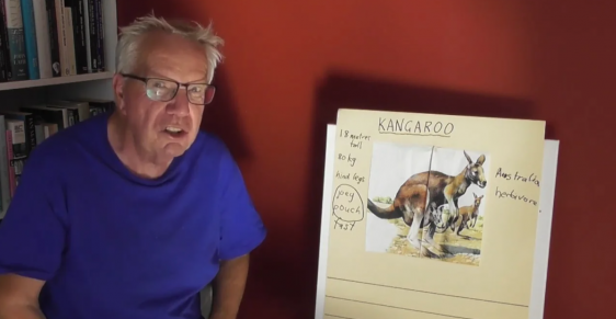 Murray Gadd Writes About Kangaroos
