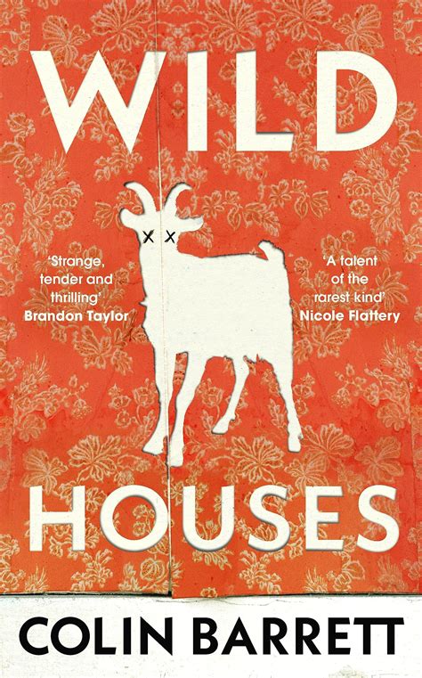 Wild Houses by colin barret